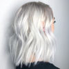 Clear Platinum White Blonde Haircolor Formula Behindthechair