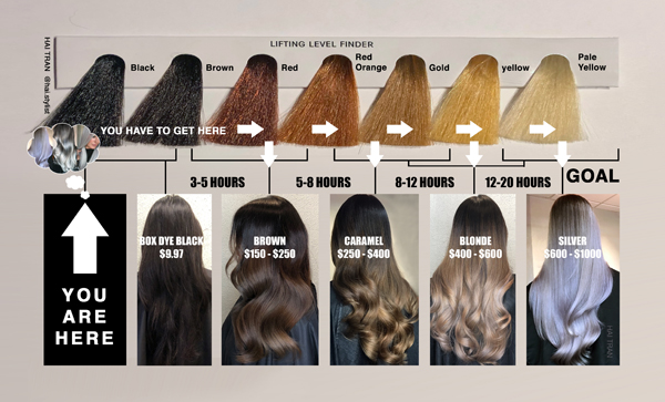 This Diagram Will Help You Price & Time Black To Blonde Transformations -  
