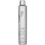 Platinum Finishing Spray 26