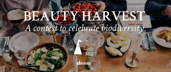 davines beauty harvest contest
