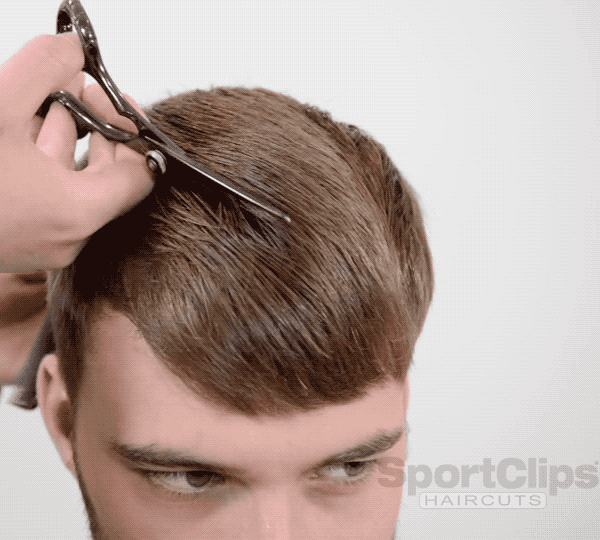Sport Clips Men's Barbering Taper Disconnected Haircut