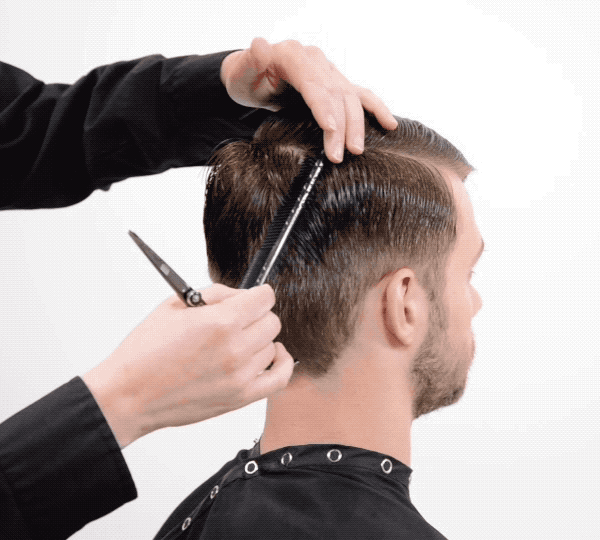 Sport Clips Men's Barbering Taper Disconnected Haircut