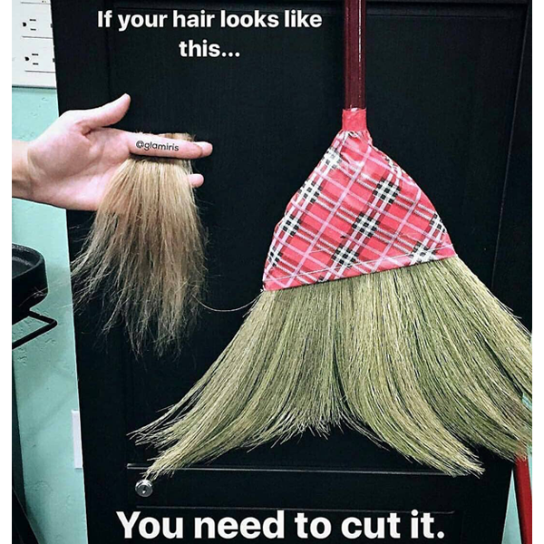 If your hair looks like this... you need to cut it. - funny meme - Behindthechair.com's Top Instagram Memes of 2018