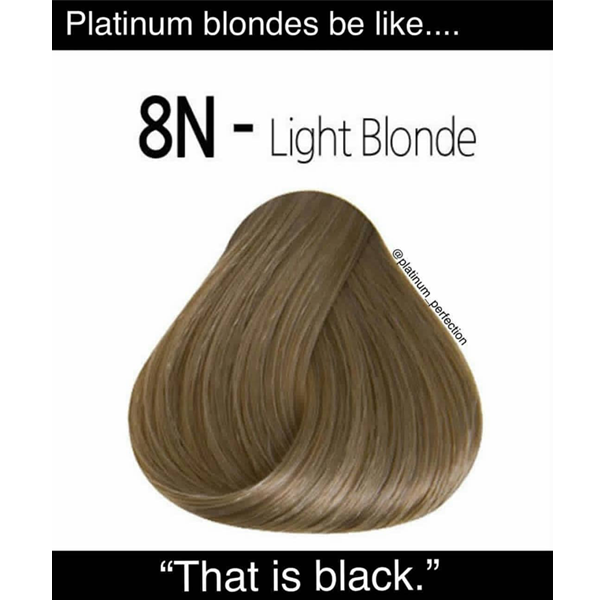 Platinum blondes be like... 8N - light blonde. That is black. - funny meme - Behindthechair.com's Top Instagram Memes of 2018