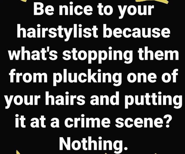 Be nice to your hairstylist because what's stopping them from plucking one of your hairs and putting it at a crime scene? Nothing. - funny meme - Behindthechair.com's Top Instagram Memes of 2018