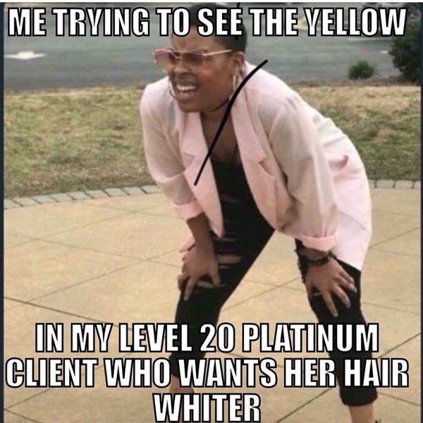 me trying to see the yellow in my level 20 platinum client who wants her hair whiter - funny meme - Behindthechair.com's Top Instagram Memes of 2018