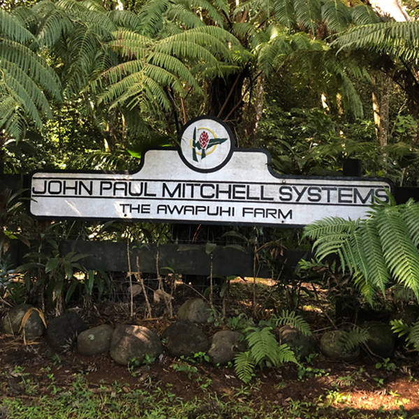 Paul Mitchell's Awapuhi Farm: Understanding the Brand's Cultural Roots