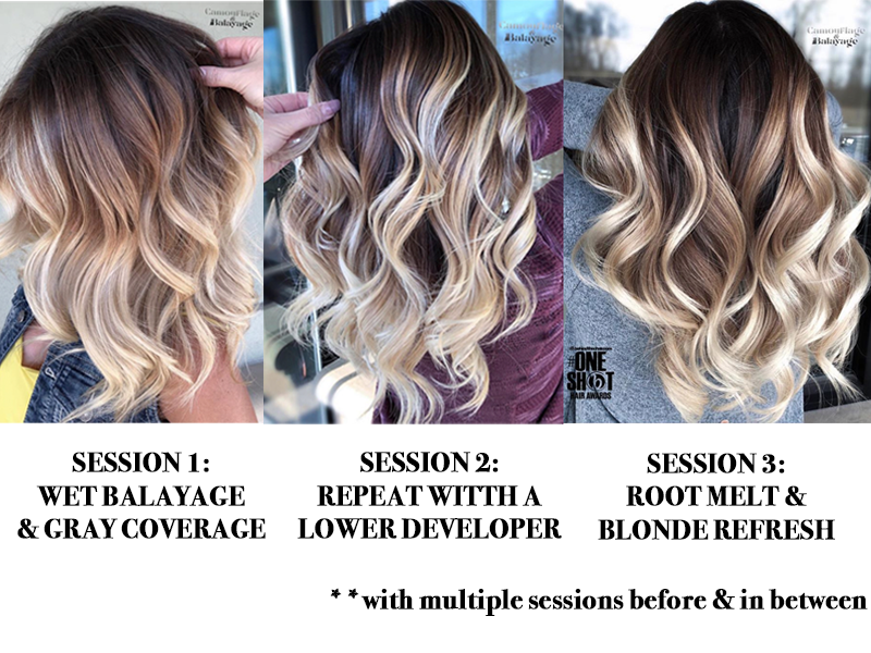@camouflageandbalayage wet balayage gray coverage root dimensional color formulas application steps color how to
