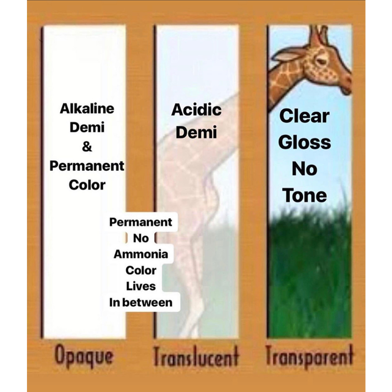 @lisalovesbalayage Lisa Walker Acidic Alkaline Clear Demi Permanent Color Chart