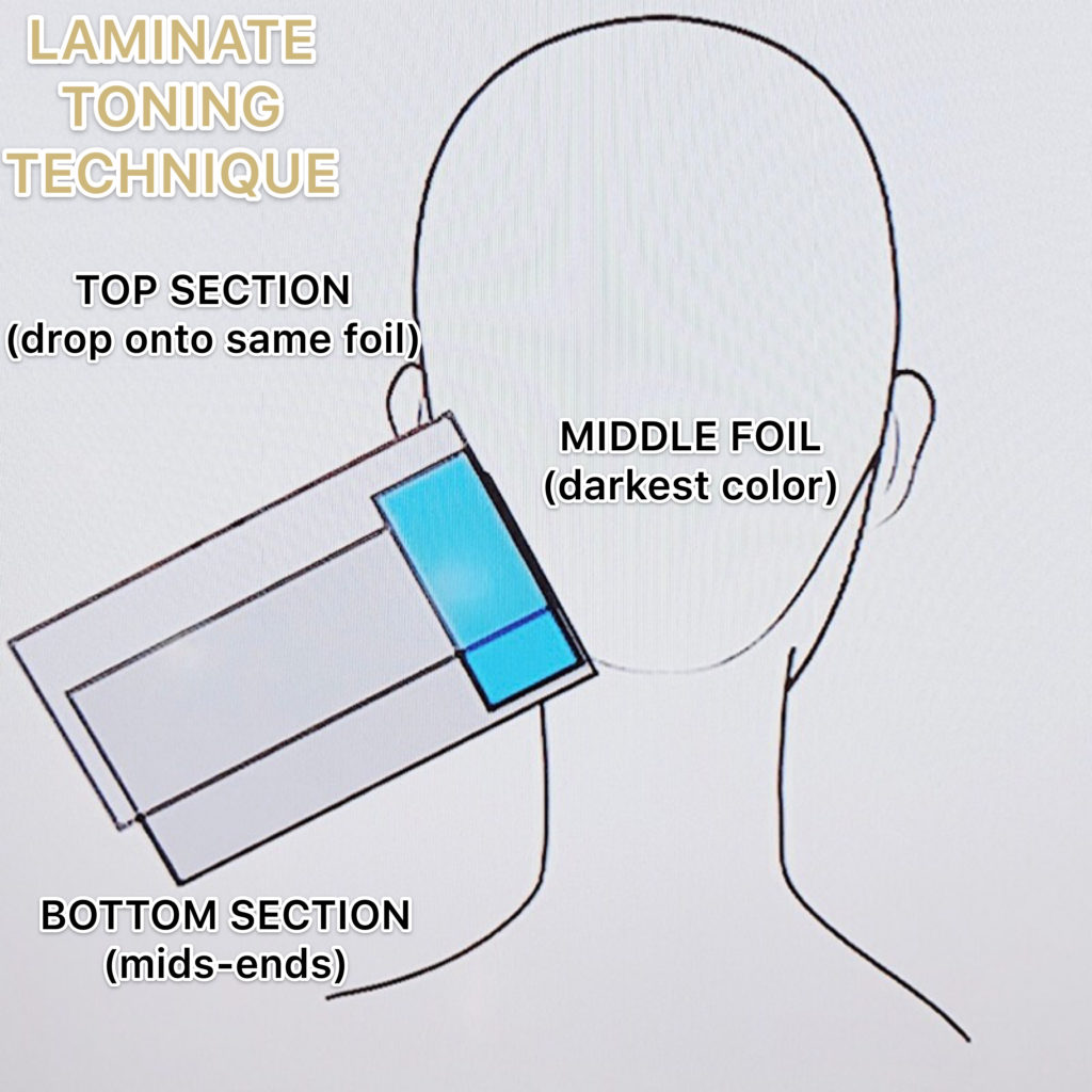 Laminate Toning Technique How To Redken Shades EQ Color Formulas Sean Godard Root Shadow Highlights and Lowlights Head Diagram