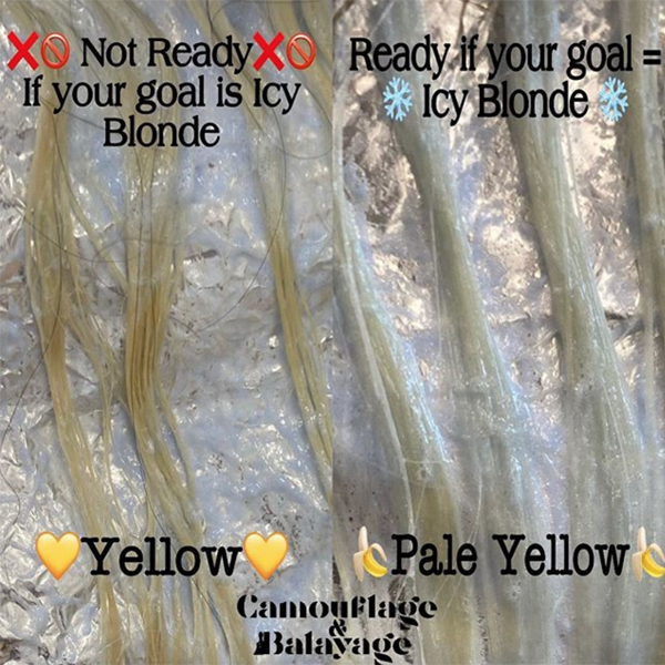 Amy McManus @camouflageandbalayage The More You Know Toning For Icy Blonde Hair Tone Blondes Blonding