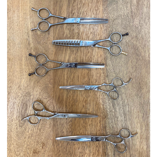 Why You Should Have Multiple Scissors in Your Tool Kit