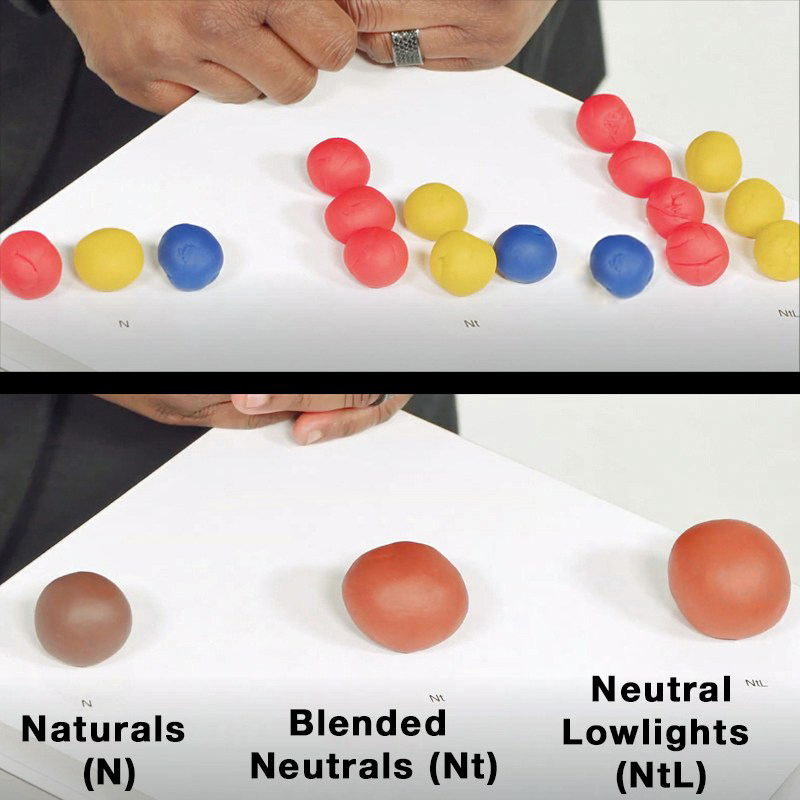 PRAVANA Blended Neutrals vs. Naturals and Natural Lowlights Pigments