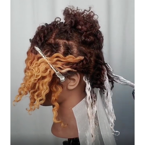 Kauilani Goodwyn @kauigoodwyn Twisted Balayage Technique Curly Textured Hair Natural Detangle Two Strand Twist Lighten