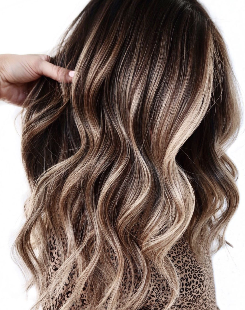 10 Blonde With Brown Highlights Formulas