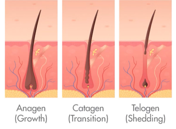 what causes hair loss and thinning and surface awaken scalp facial for visible hair growth