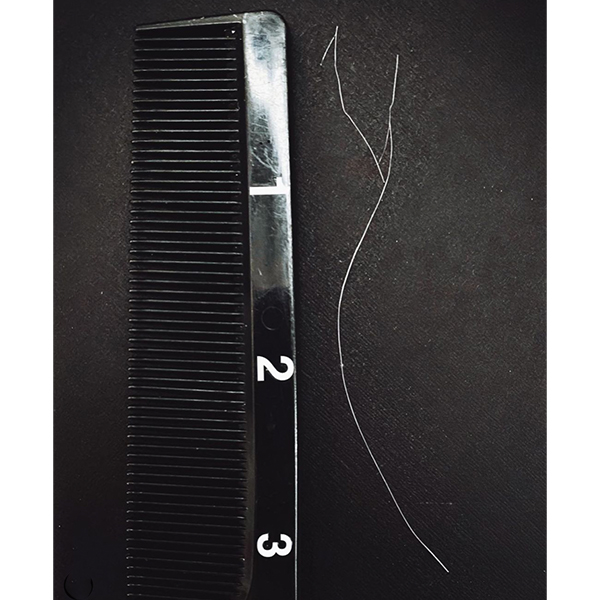 dear-clients-split-ends-hair-trims