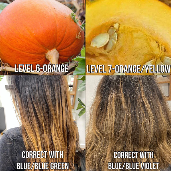 diagram for bleaching brown hair to blonde and how to get rid of orange tones