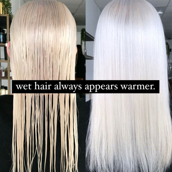 Wet-Look Long Hair (Platinum)