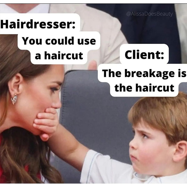 12 Memes Only A Hairstylist Will Understand