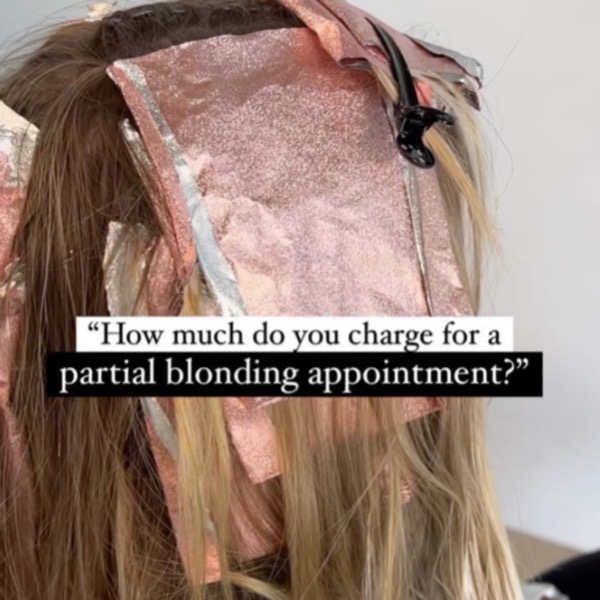 partial highlight pricing Carly Zanoni the blonde chronicles