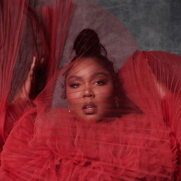 Lizzo get the look shelby swain updo sexyhair