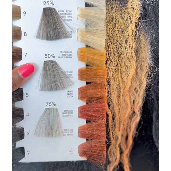 color correction tips for clients with dark bases dark natural level