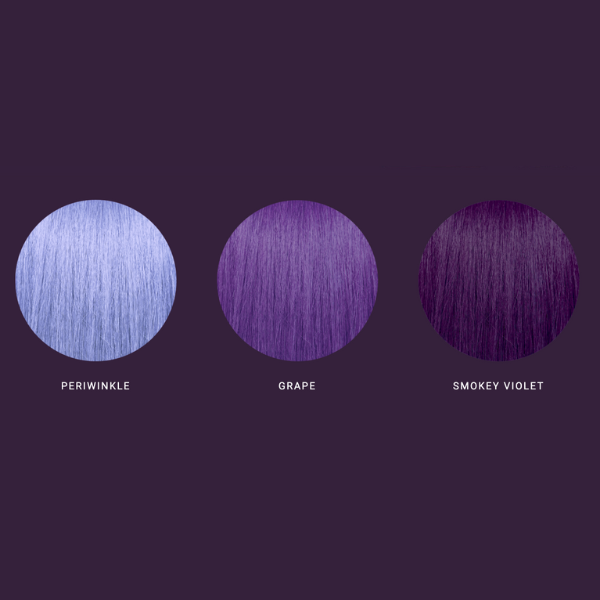 pravana digital purple ppalette