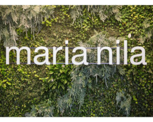 Meet Maria Nila: Vegan Professional Haircare, Color & Styling Brand From Stockholm-img