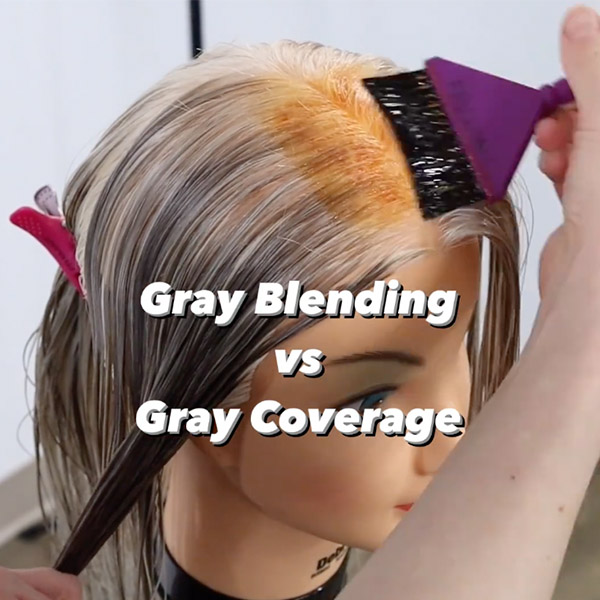 gray blending gray coverage guide tips to cover resistant grays