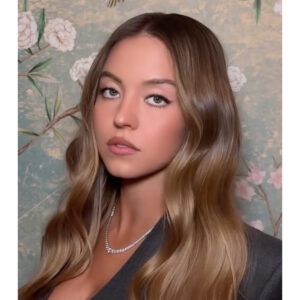 Sydney Sweeney's Dark Teddy Bronde-img