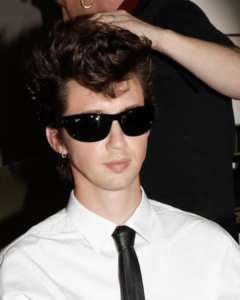 Troye Sivan's Shiny Brunette Hair-img