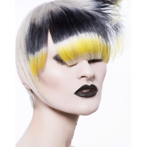 Creative Color